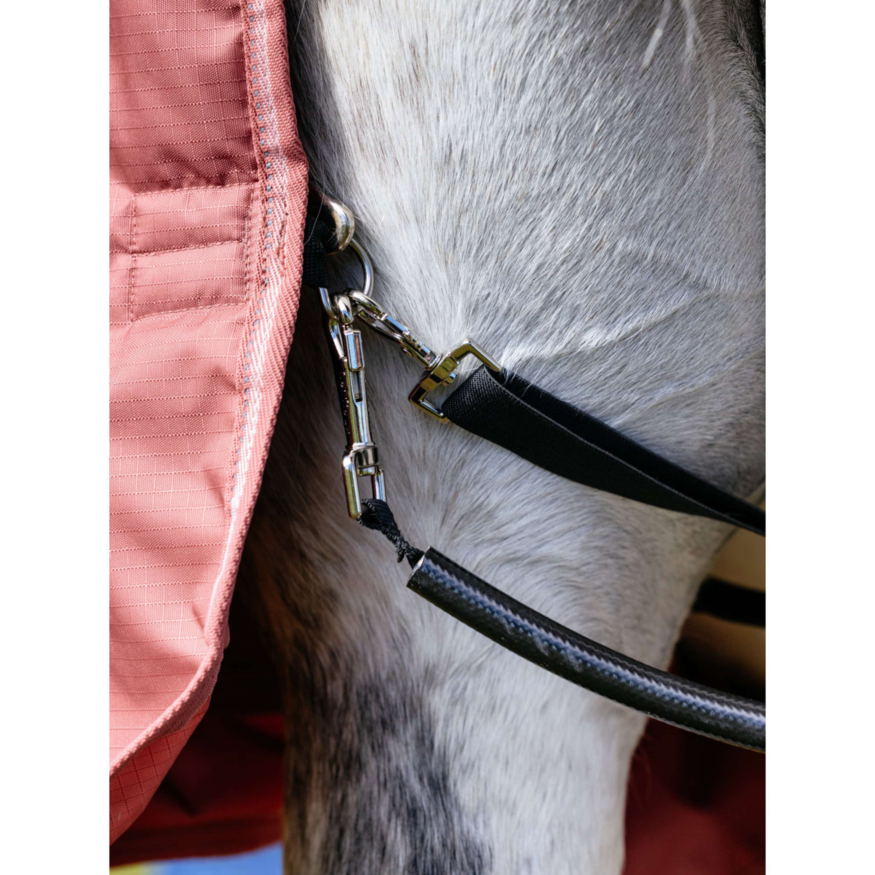 LeMieux Coperta Impermeabile Arika Star 0g Spiced Earth