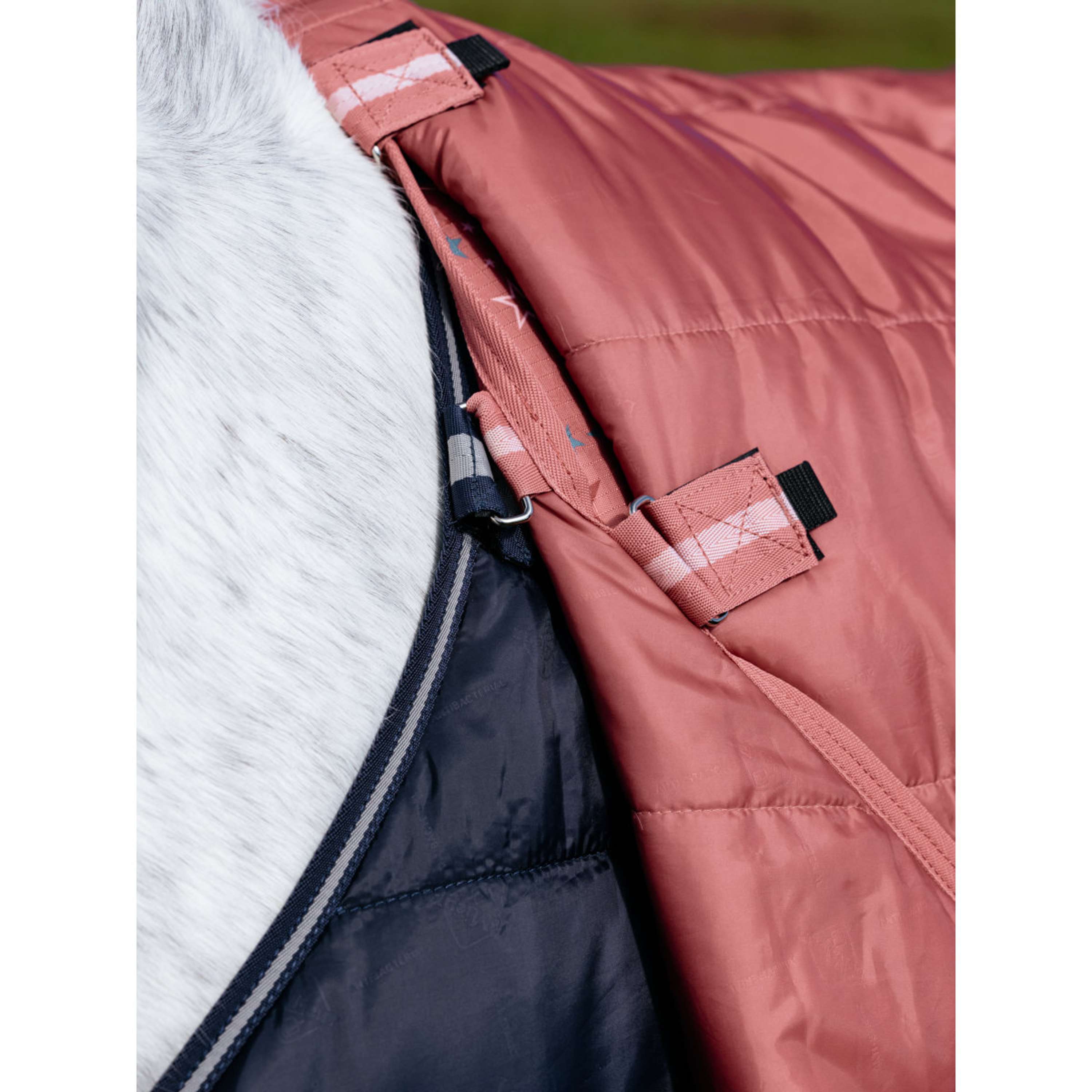 LeMieux Coperta Impermeabile Arika Star 0g Spiced Earth