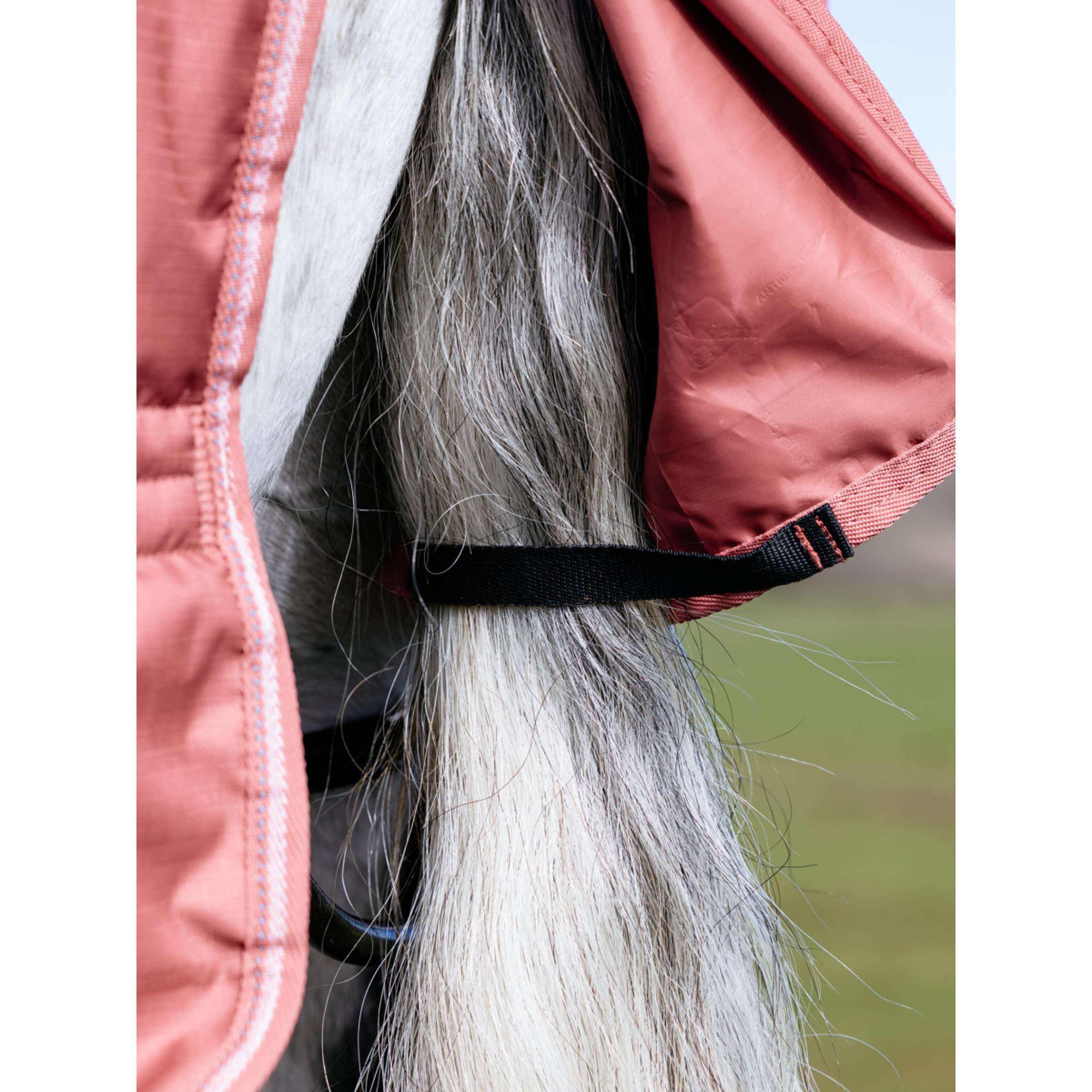 LeMieux Coperta Impermeabile Arika Star 0g Spiced Earth