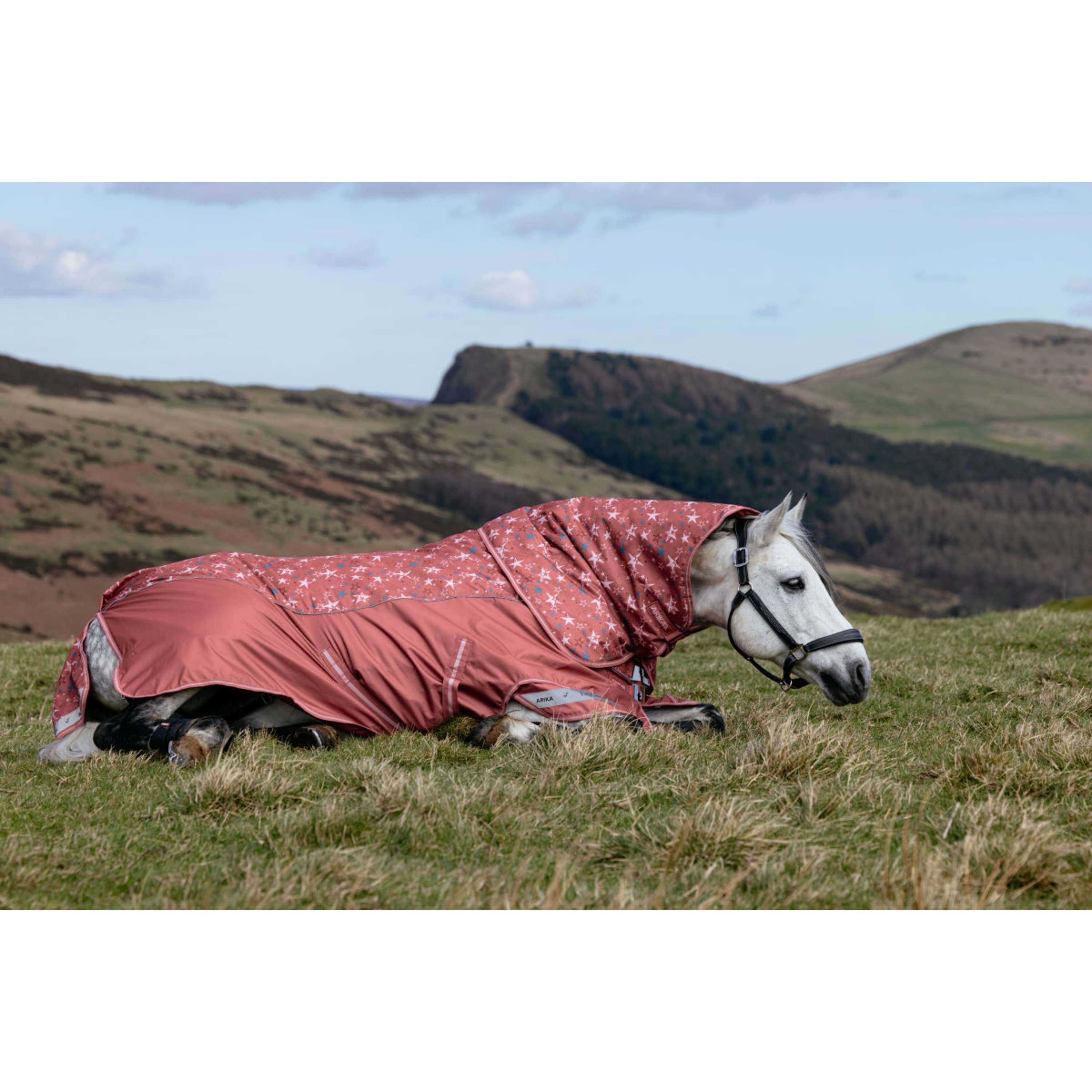 LeMieux Coperta Impermeabile Arika Star 0g Spiced Earth
