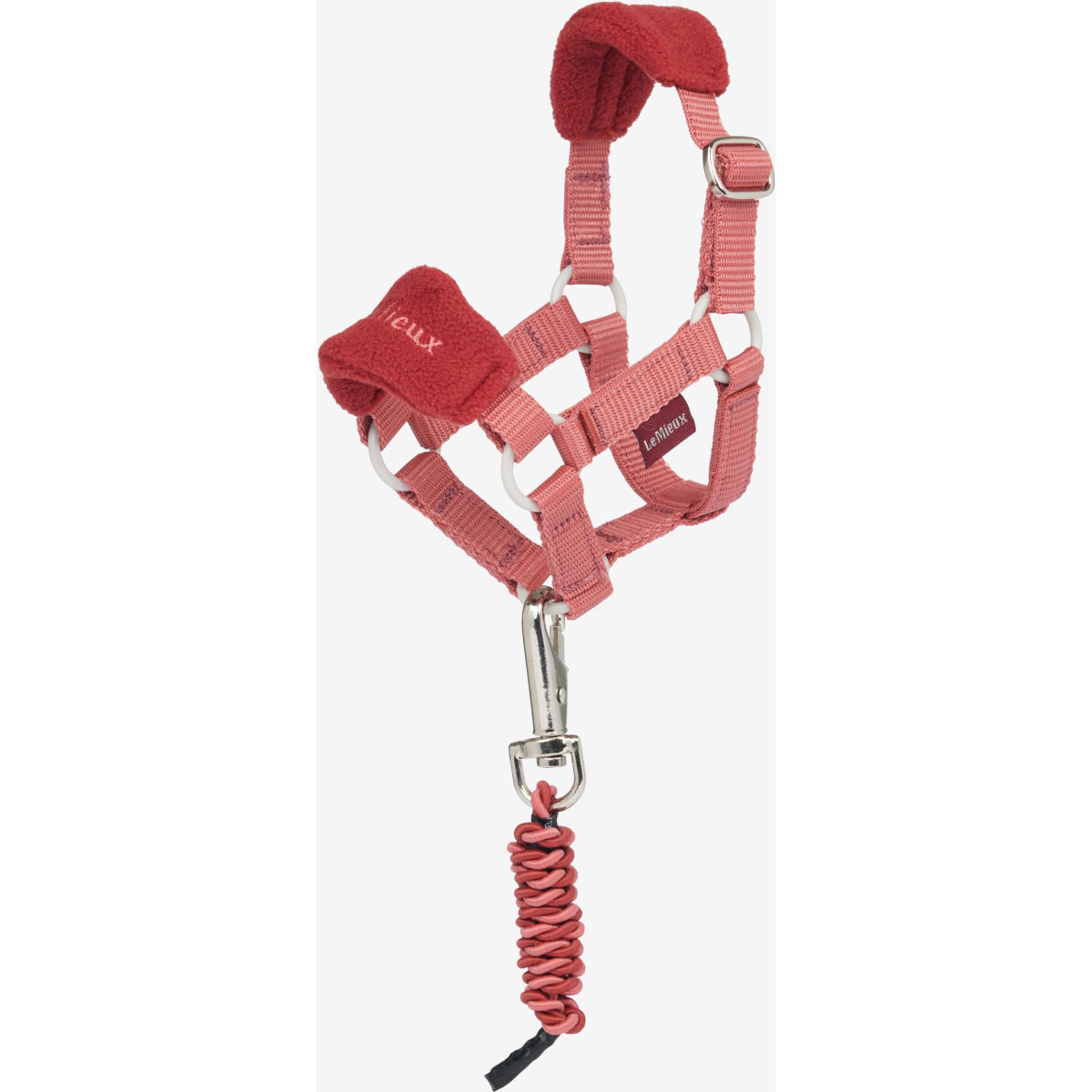 LeMieux Toy Pony set di Cavezza Spiced Earth