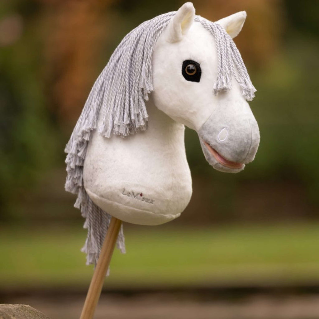 LeMieux Cavallo da hobby Coco