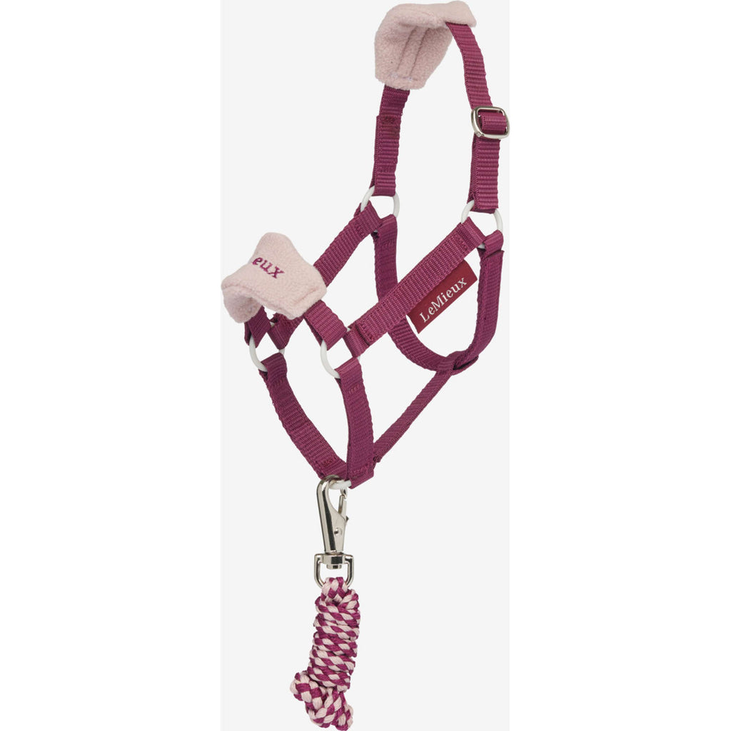 LeMieux Cavallo da hobby Set Cavezza Blackberry