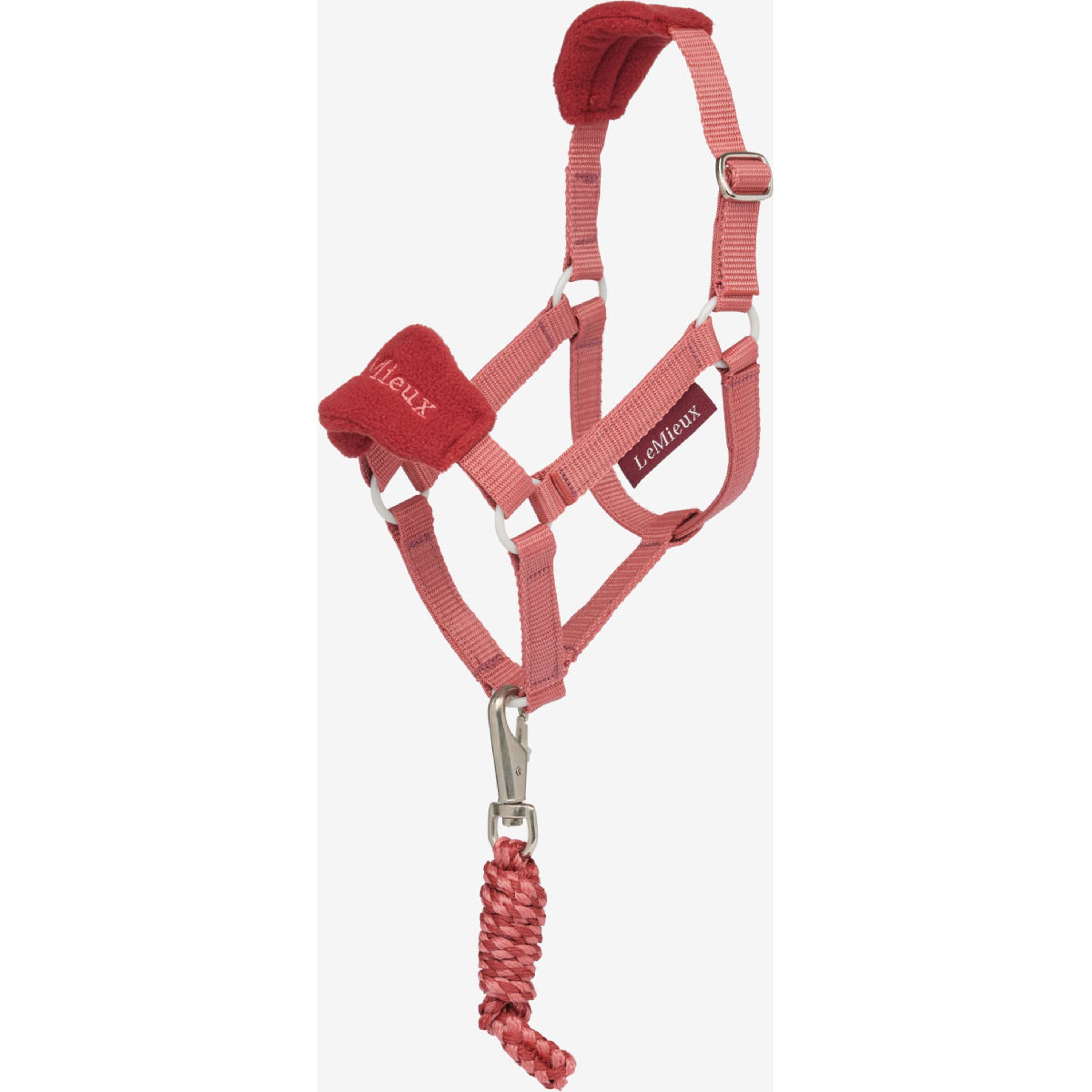 LeMieux Cavallo da hobby Set Cavezza Spiced Earth