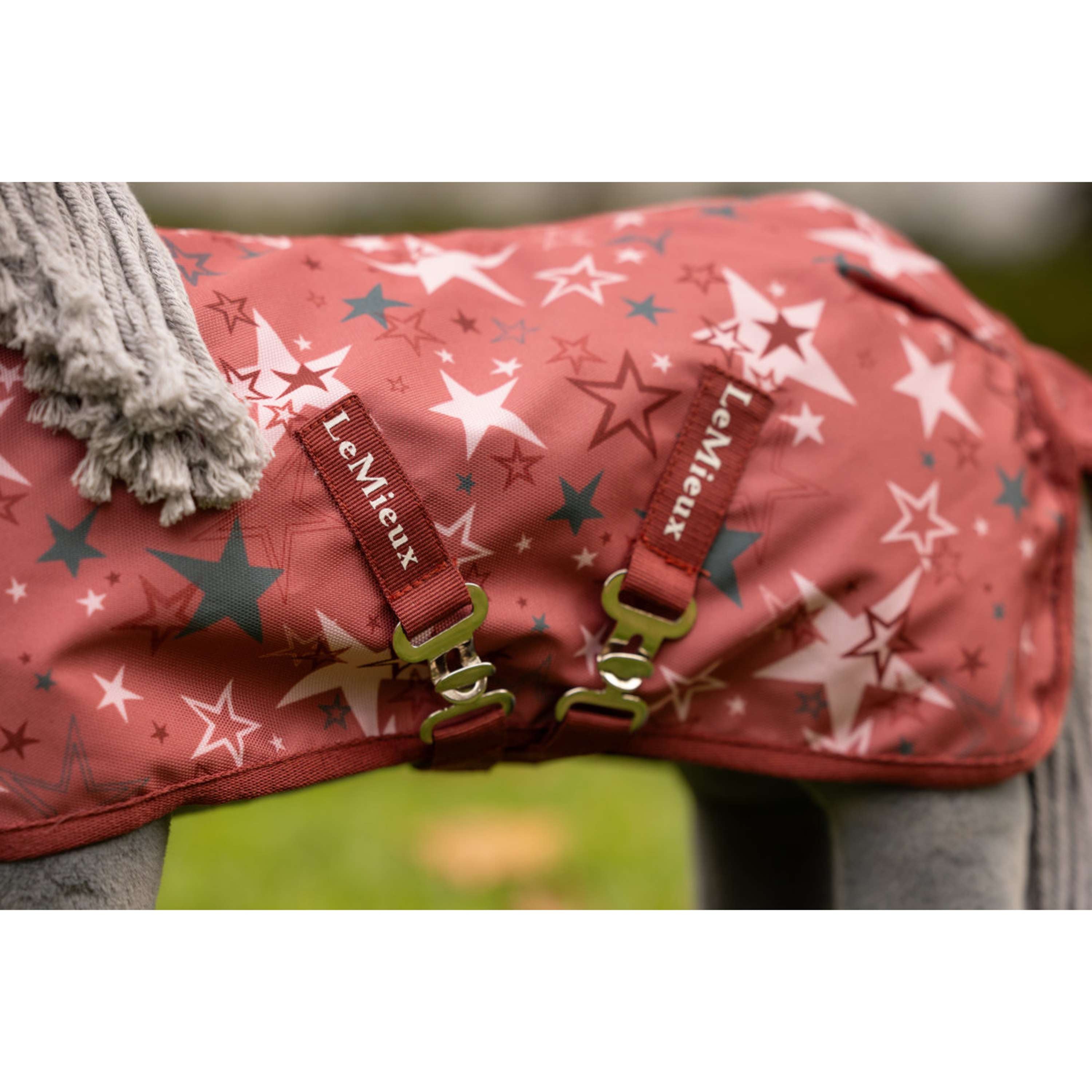 LeMieux Toy Pony Coperta Printed Turnout Spiced Earth