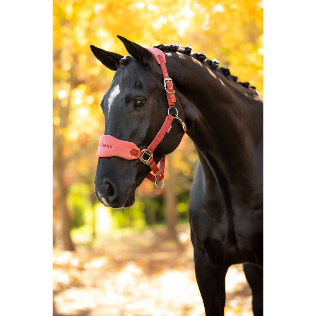 LeMieux Set Cavezza Vogue Russet