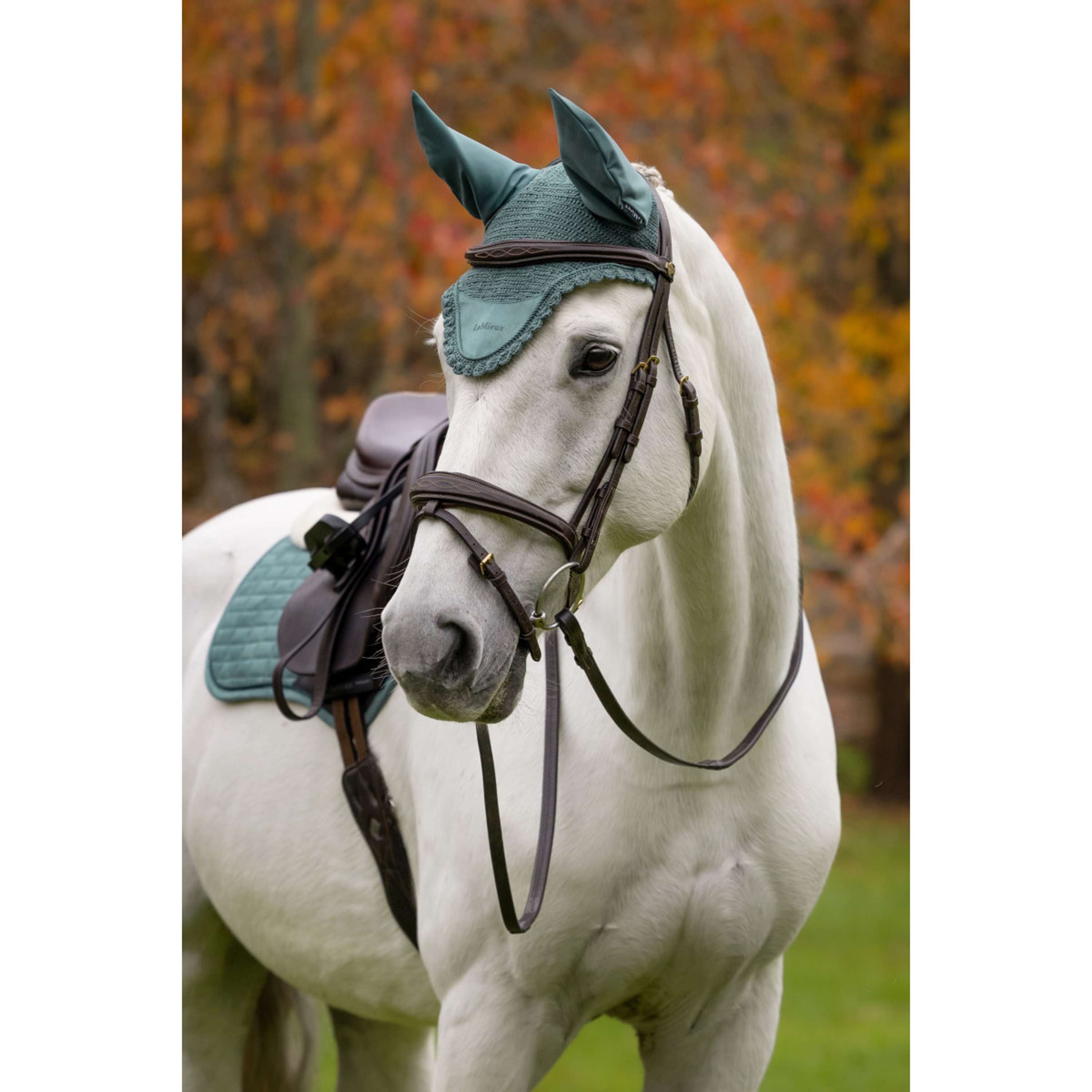 LeMieux Cuffietta Classique Aloe