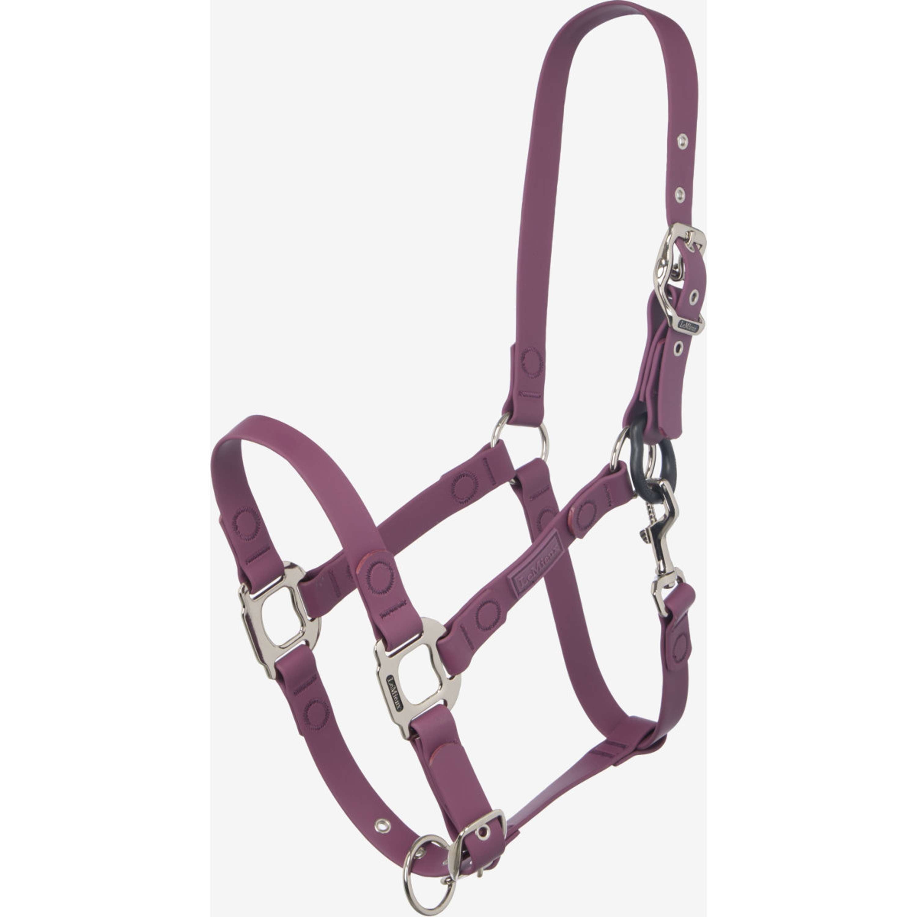 LeMieux Cavezza FieldFlex Breakaway Blackberry