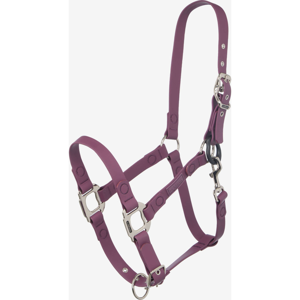 LeMieux Cavezza FieldFlex Breakaway Blackberry