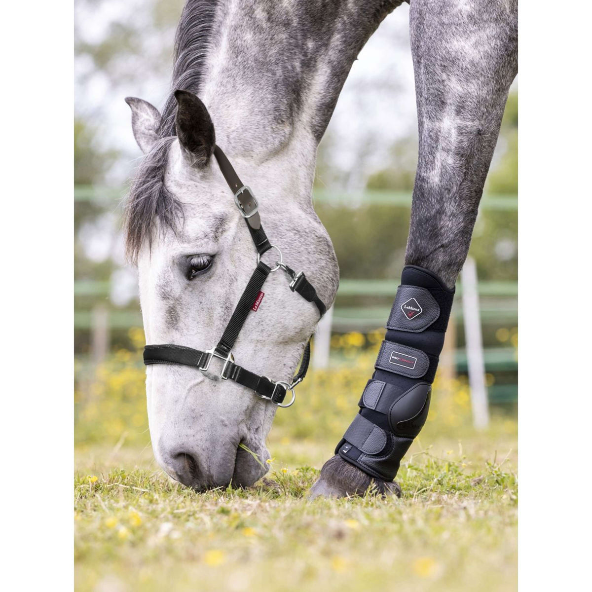 LeMieux Capezzina Break Away Nero