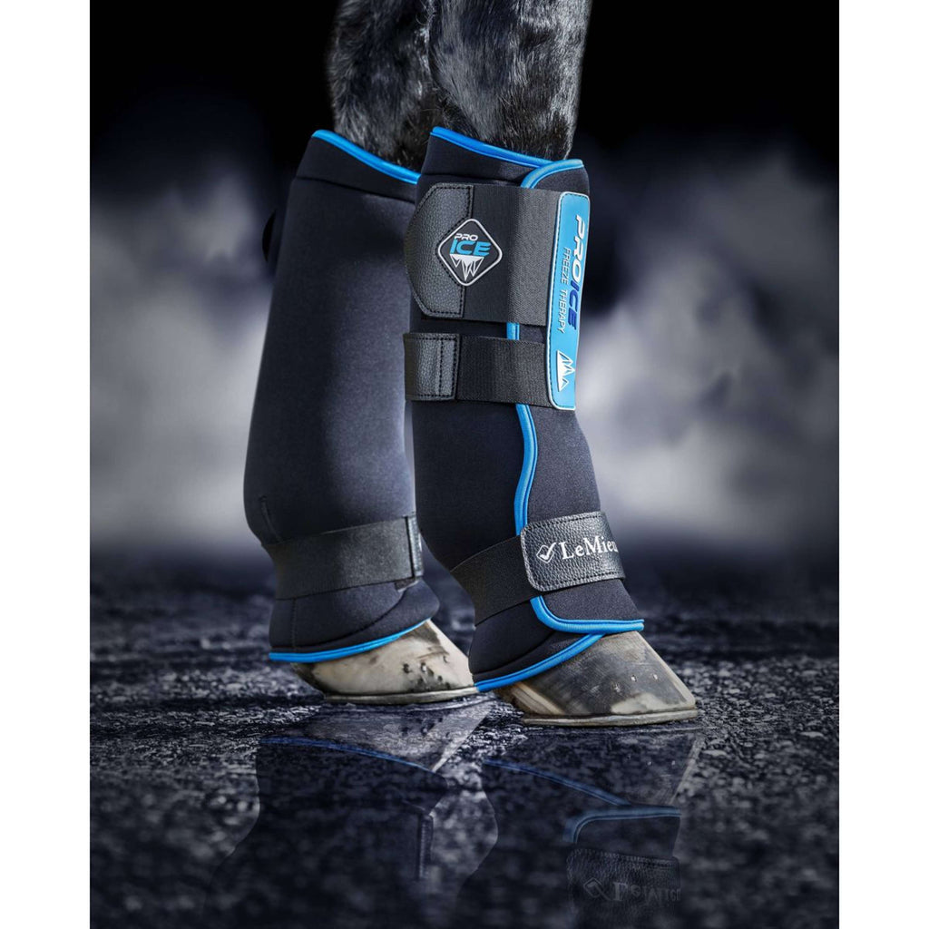 LeMieux Parastinchi Freeze Therapy Nero