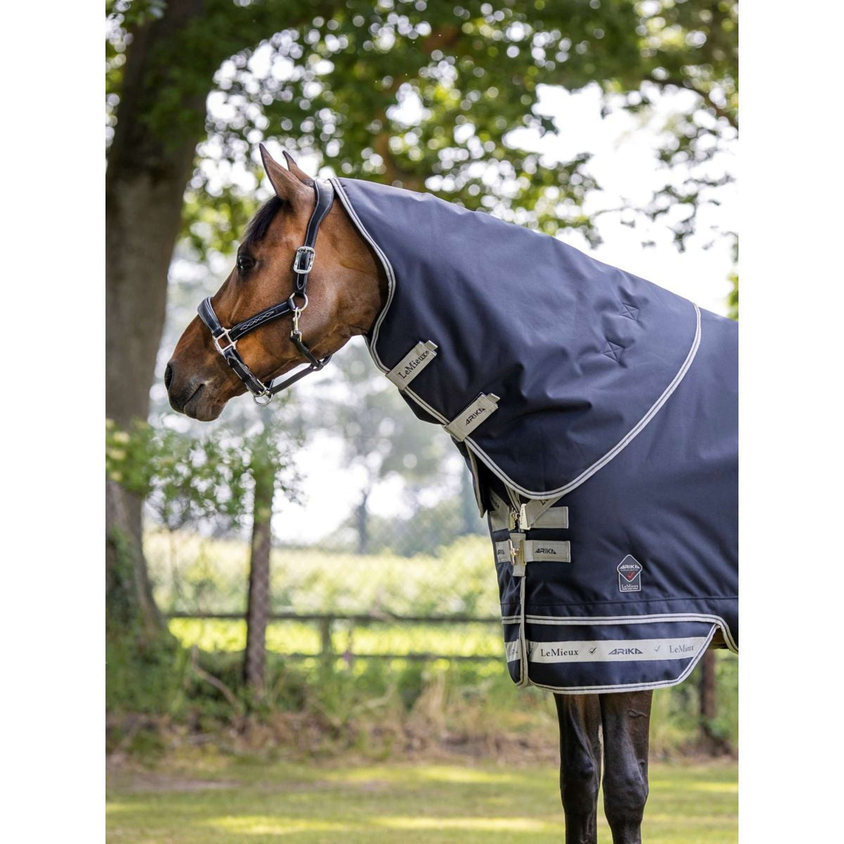 LeMieux Tappeto da Esterno Arika Storm-Tek 50 g Navy