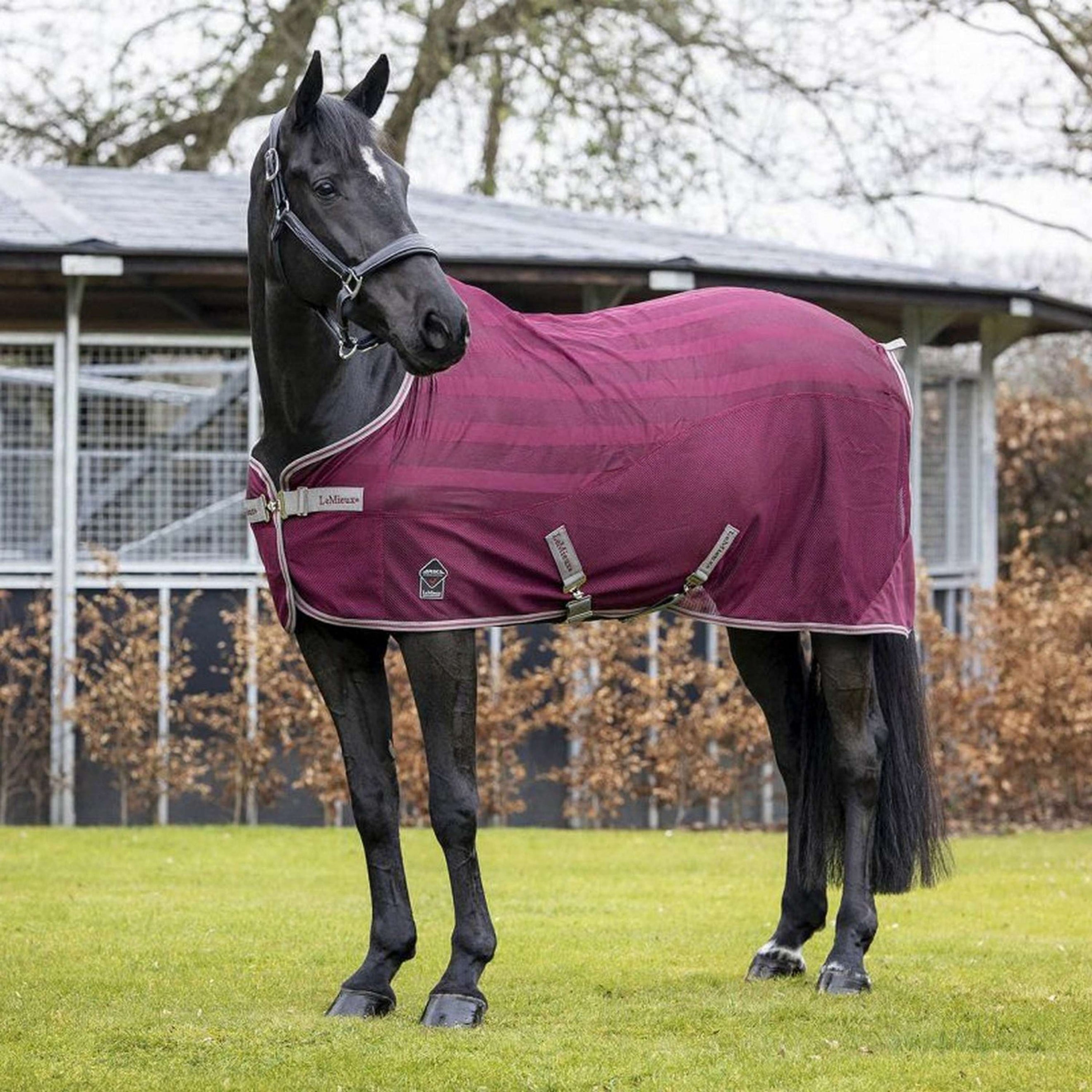 LeMieux Coperta Estiva Arika Air-Tek Borgogna