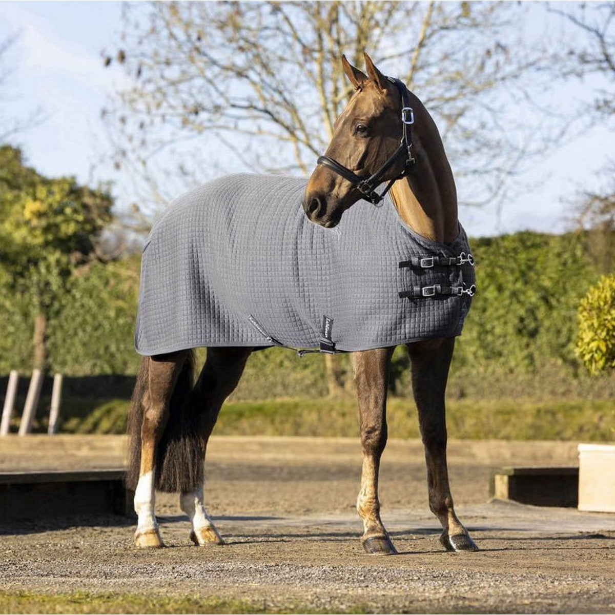 LeMieux Tappeto Arika Clima-Tek Grigio