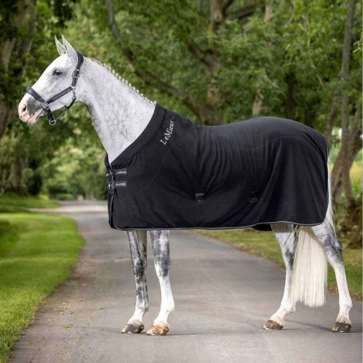 LeMieux Coperta in Pile Arika Cooler Nero