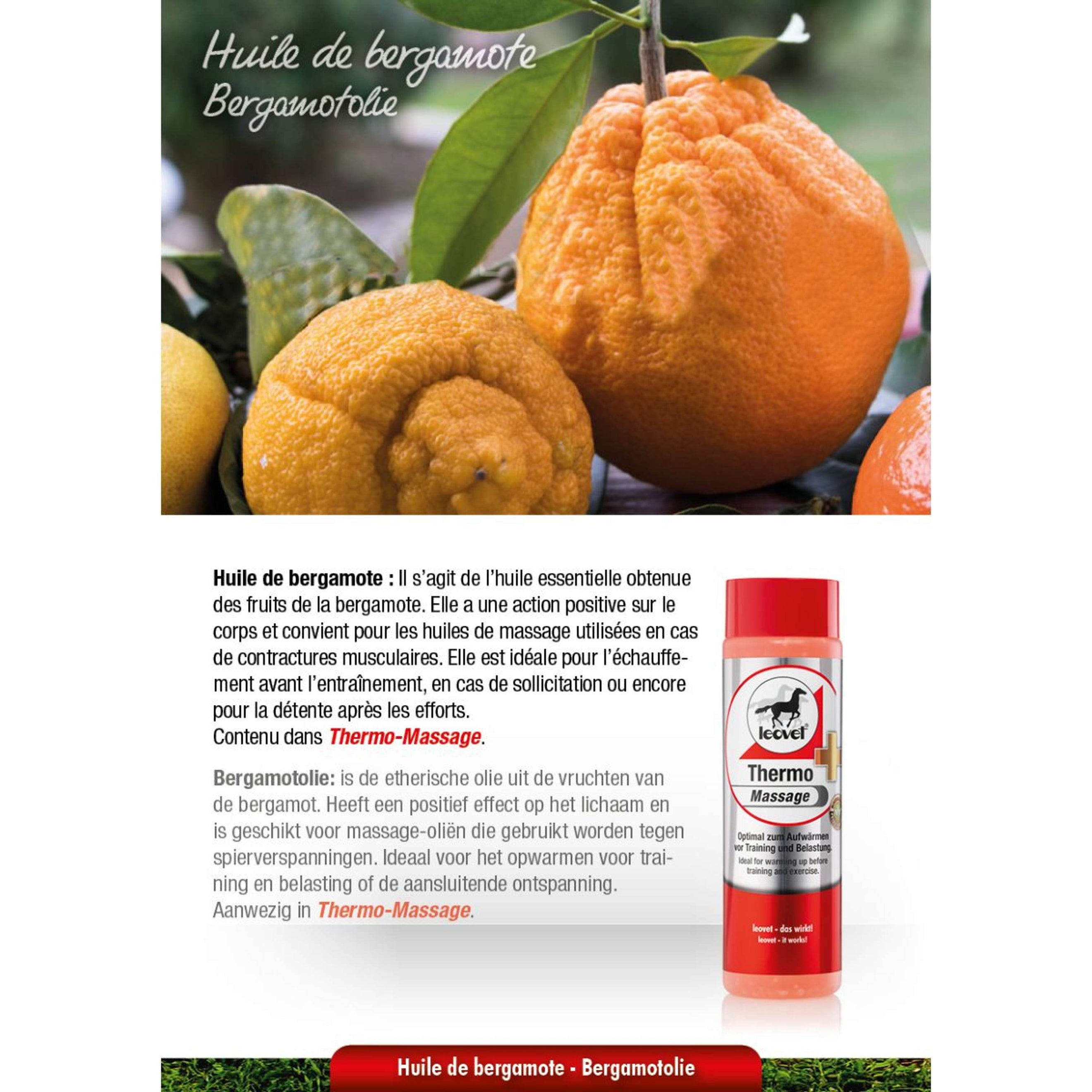 Leovet Thermo Massage Leovet Thermo Massage