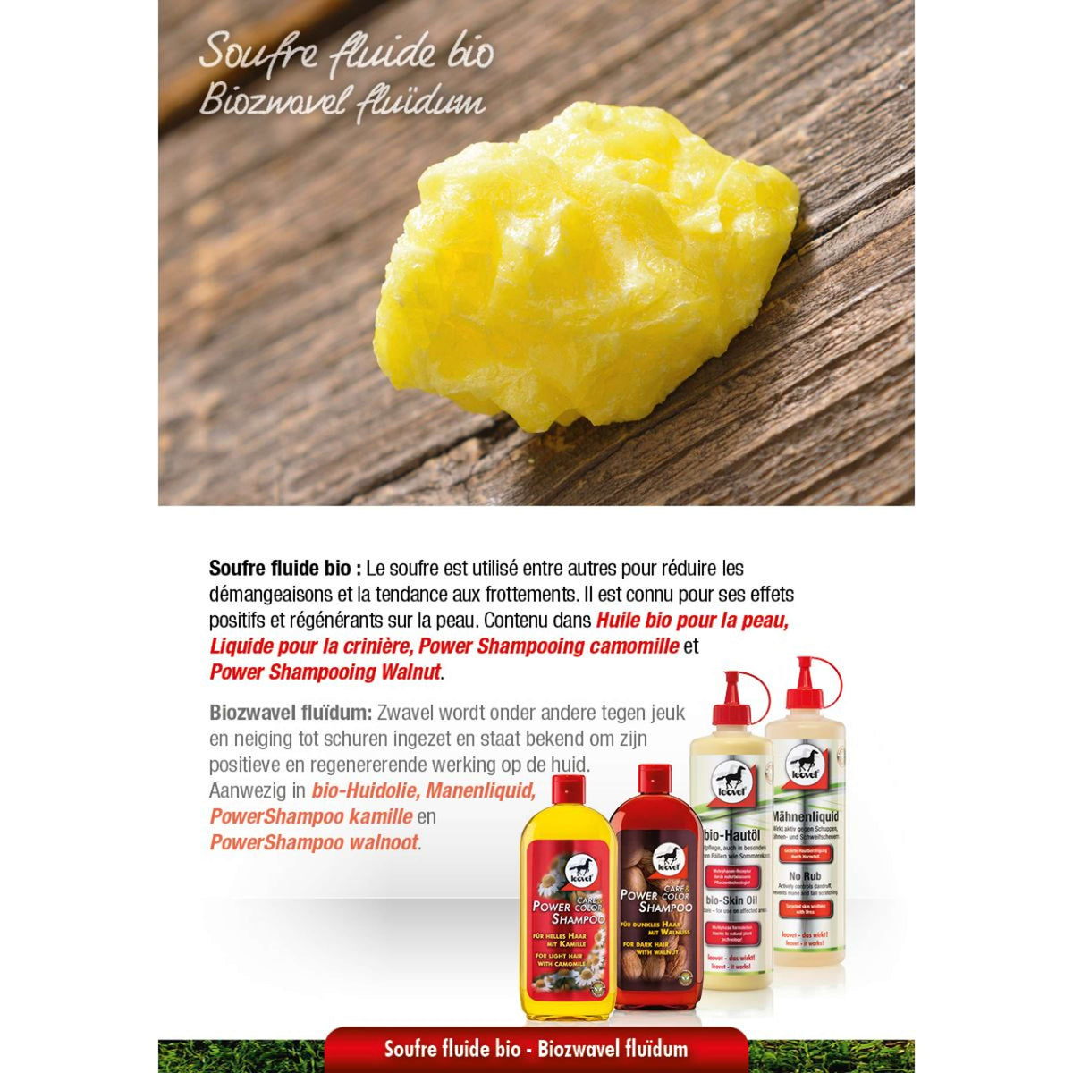 Leovet Power Shampoo Noce