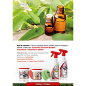 Leovet Faser di potenza