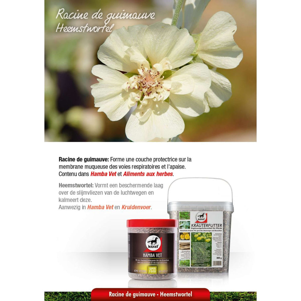 Leovet Mangime Erboristico