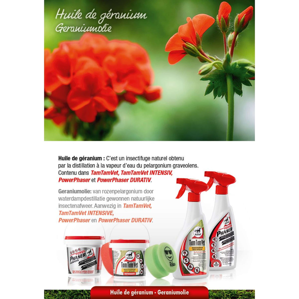 Leovet Faser di potenza