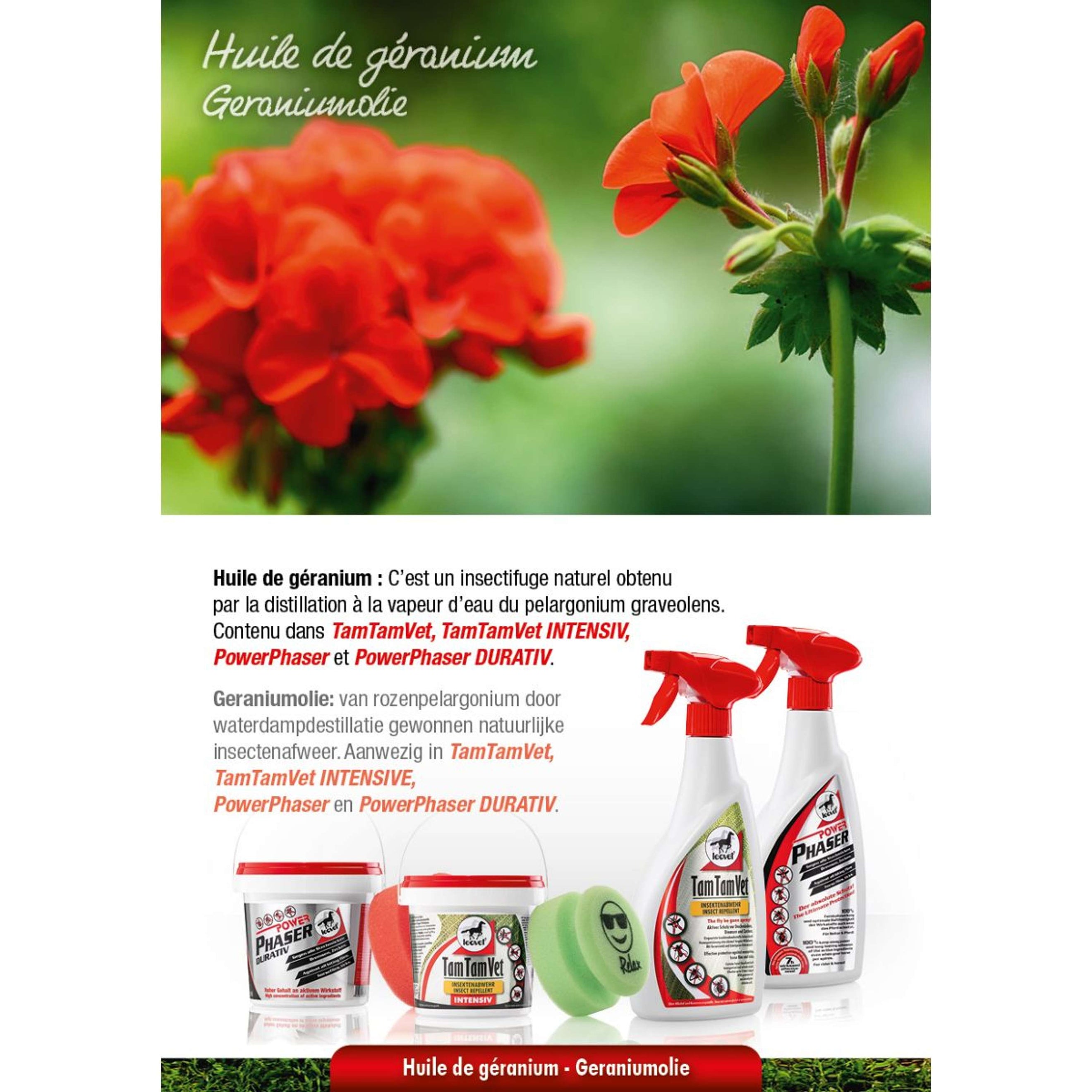 Leovet Faser di potenza