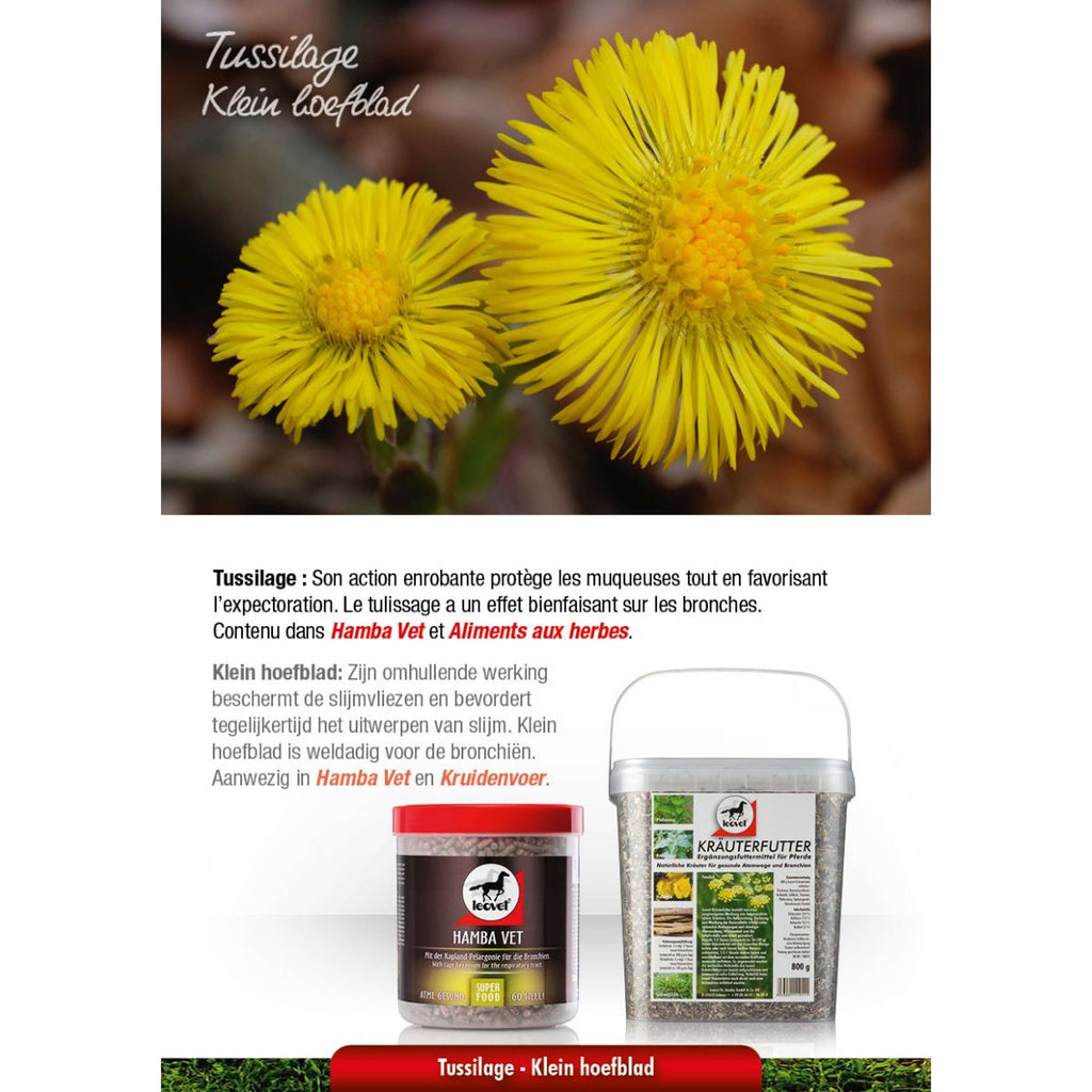 Leovet Mangime Erboristico