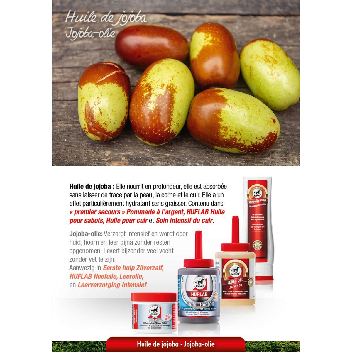 Leovet Olio per cuoio