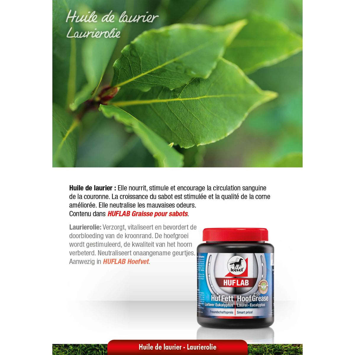 Leovet HoofLab Grasso