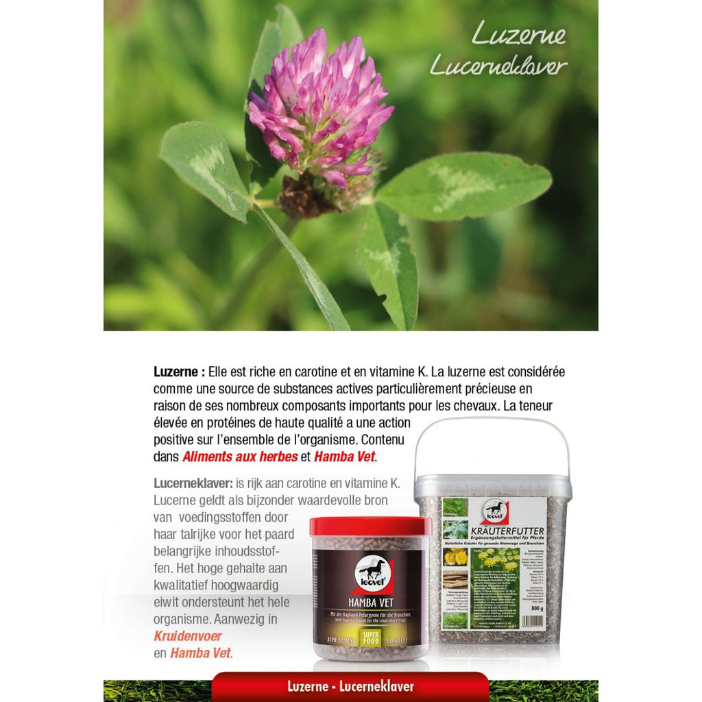 Leovet Mangime Erboristico