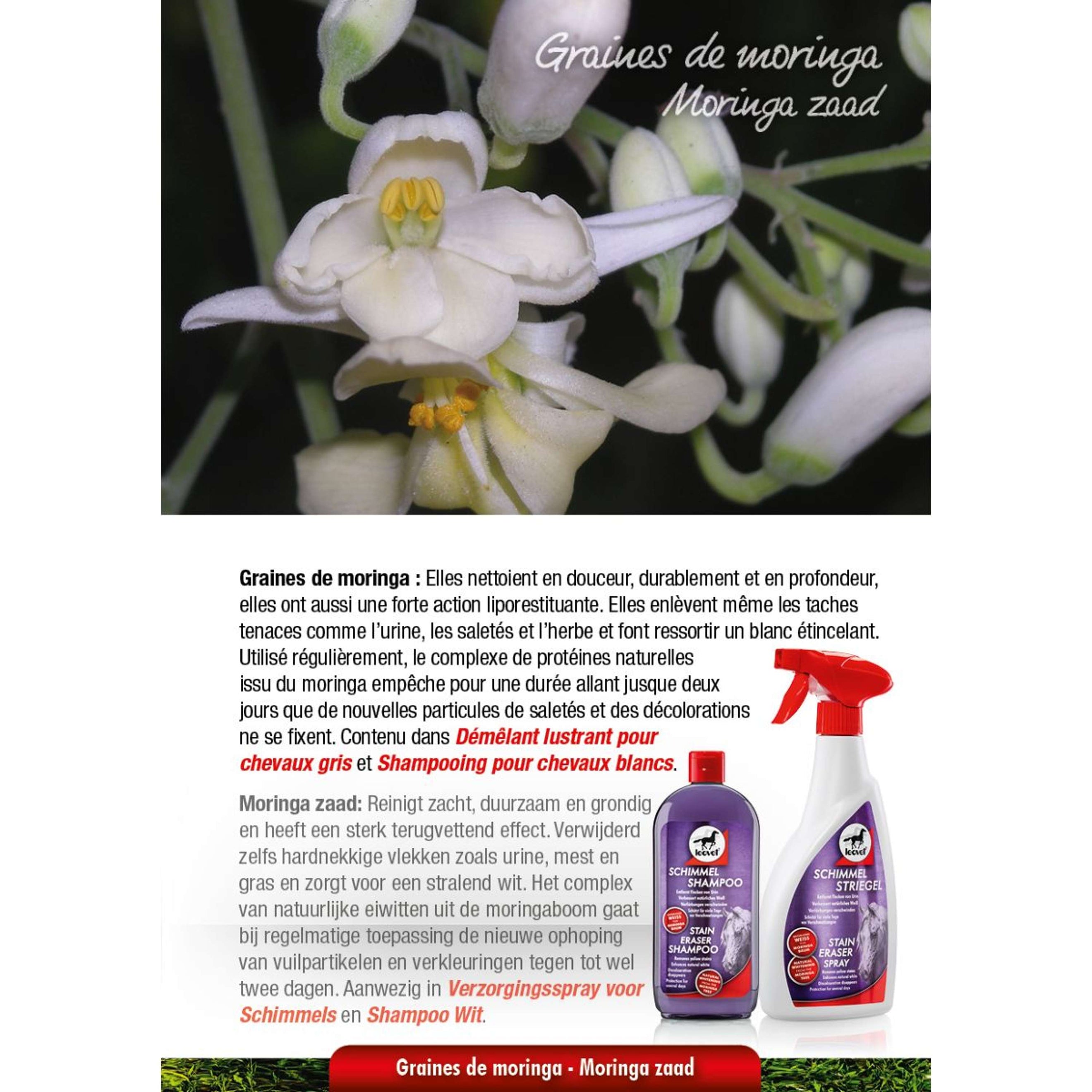 Leovet Spray Milton