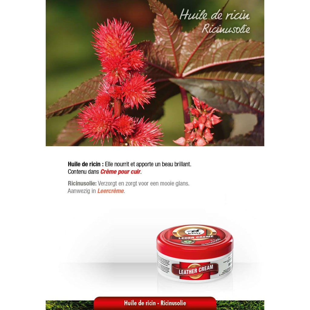 Leovet Crema per pelle