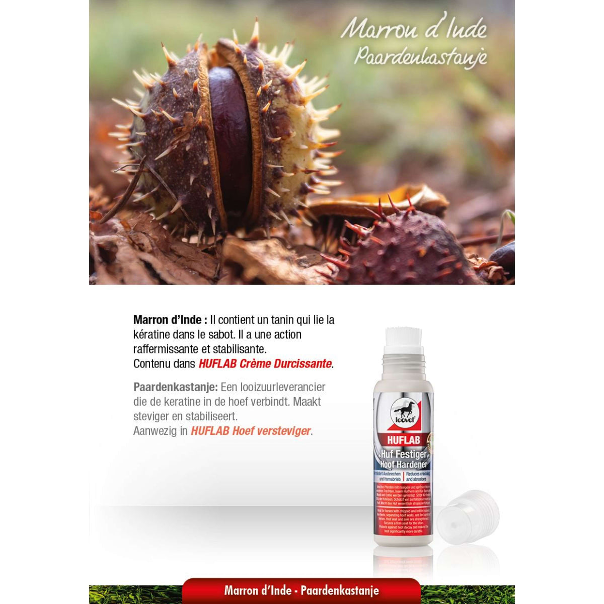 Leovet HoofLab Irrigiditore
