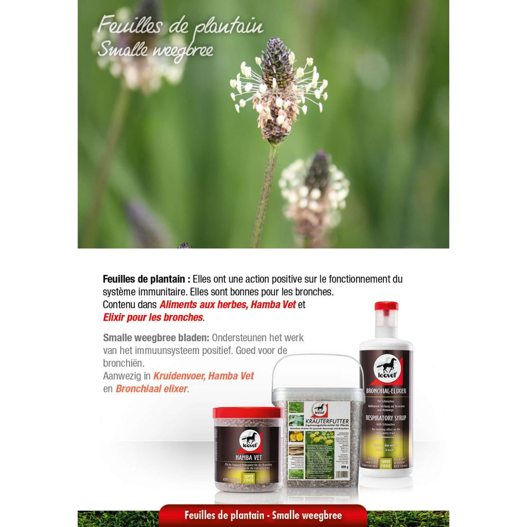 Leovet Mangime Erboristico
