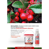 Leovet Mineralpack