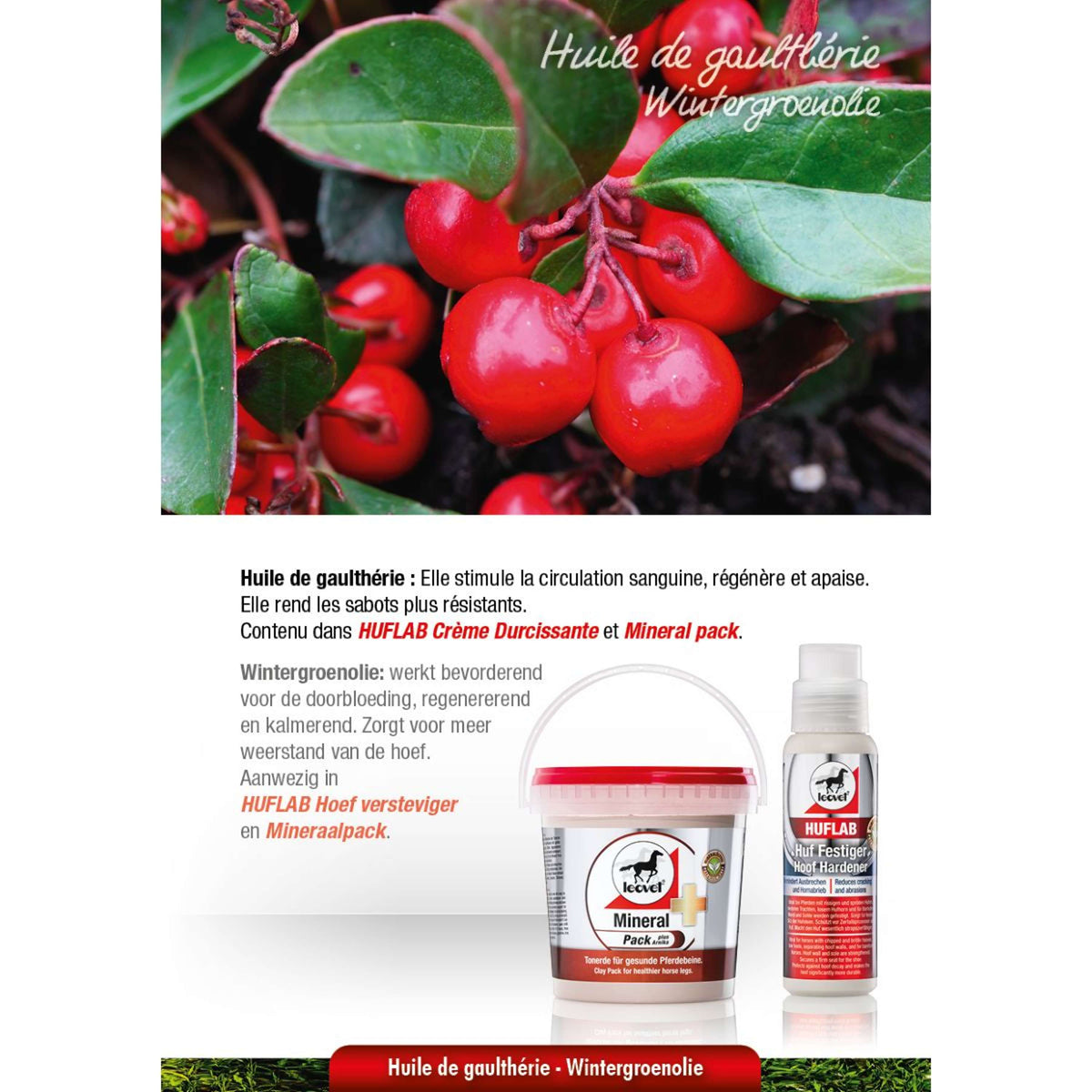 Leovet HoofLab Irrigiditore