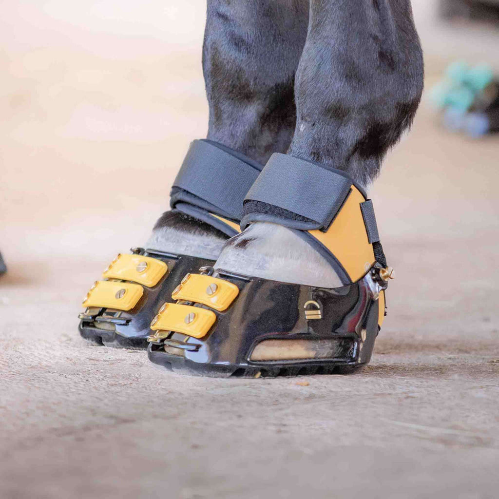 Scoot Boot Multipurpose Gaiters Marigold