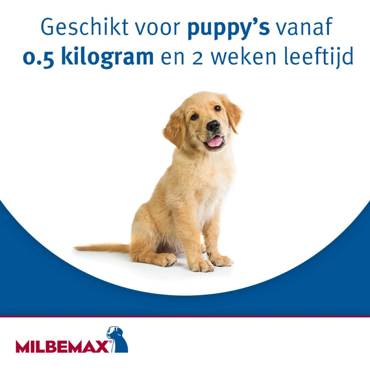 Milbemax Compressa Vermifuga Puppy/Klein 2 Tabletten