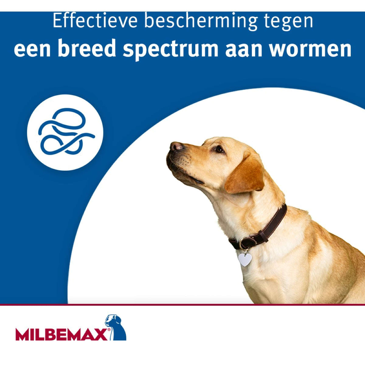 Milbemax Compressa Vermifuga Puppy/Klein 2 Tabletten