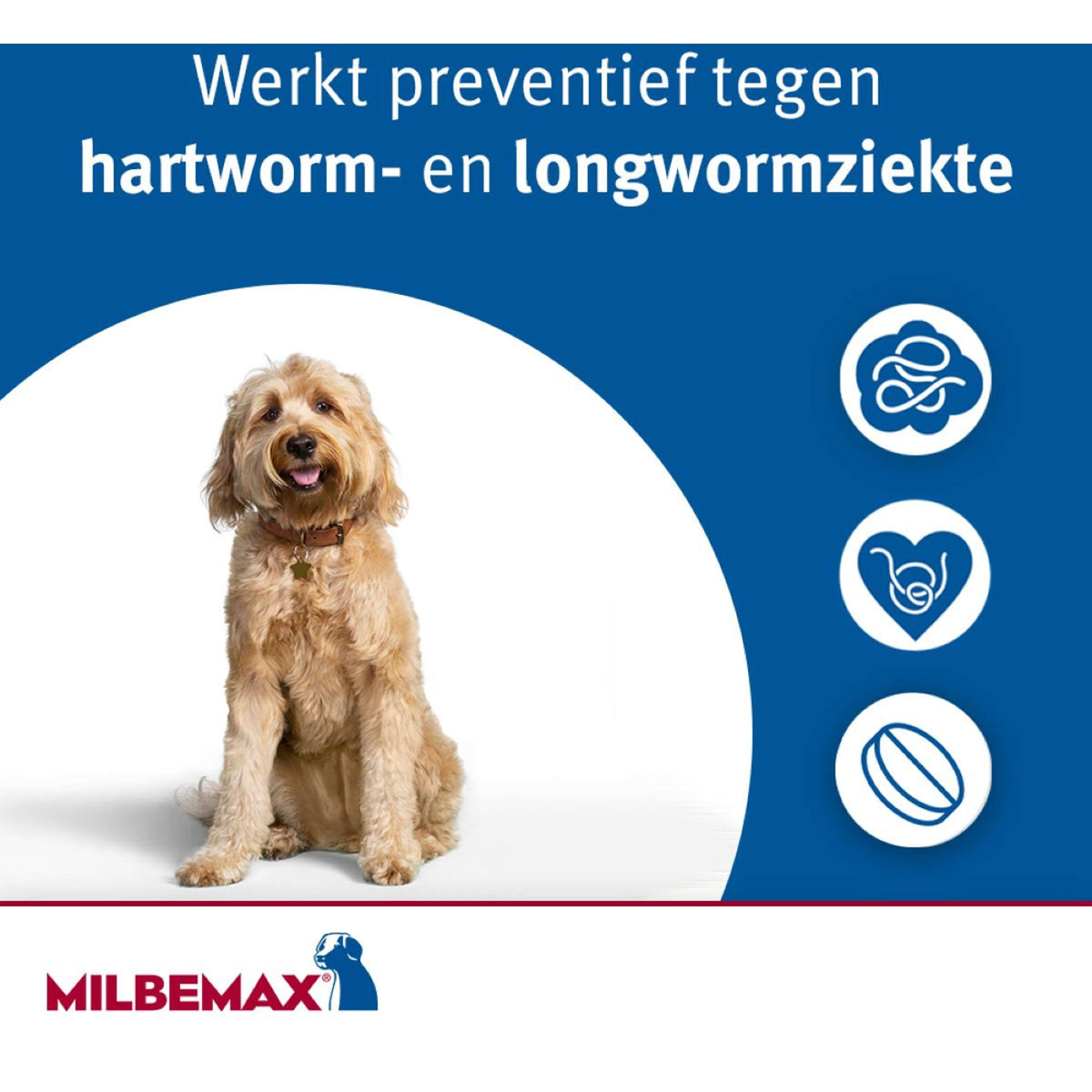 Milbemax Compressa Vermifuga Puppy/Klein 2 Tabletten