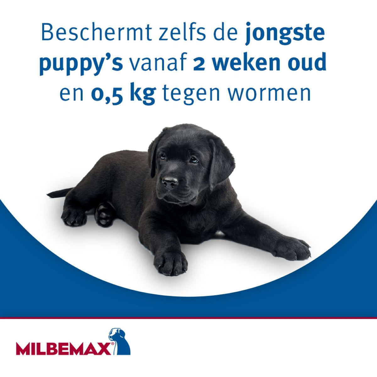 Milbemax Compressa Vermifuga Puppy/Klein 2 Tabletten