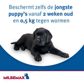 Milbemax Compressa Vermifuga Puppy/Klein 2 Tabletten