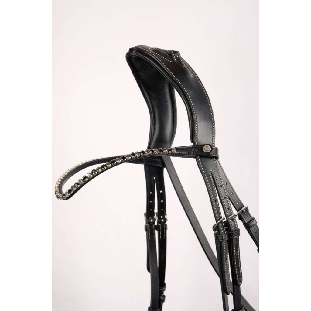 Montar Frontalino Fair Nero