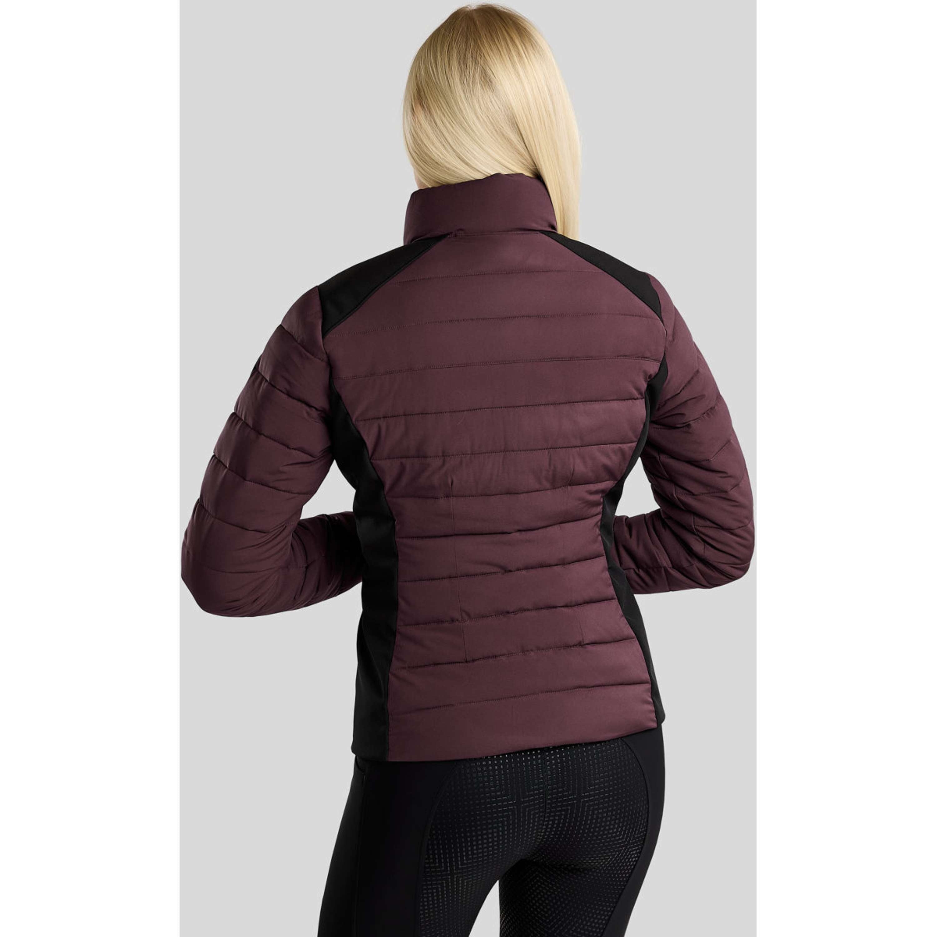 Montar Giacca MoRuby Essential Padded Softshell Fig