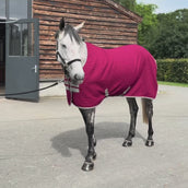 Velder Horsewear Premium Waffle Cooler Rug Rosso Gelso