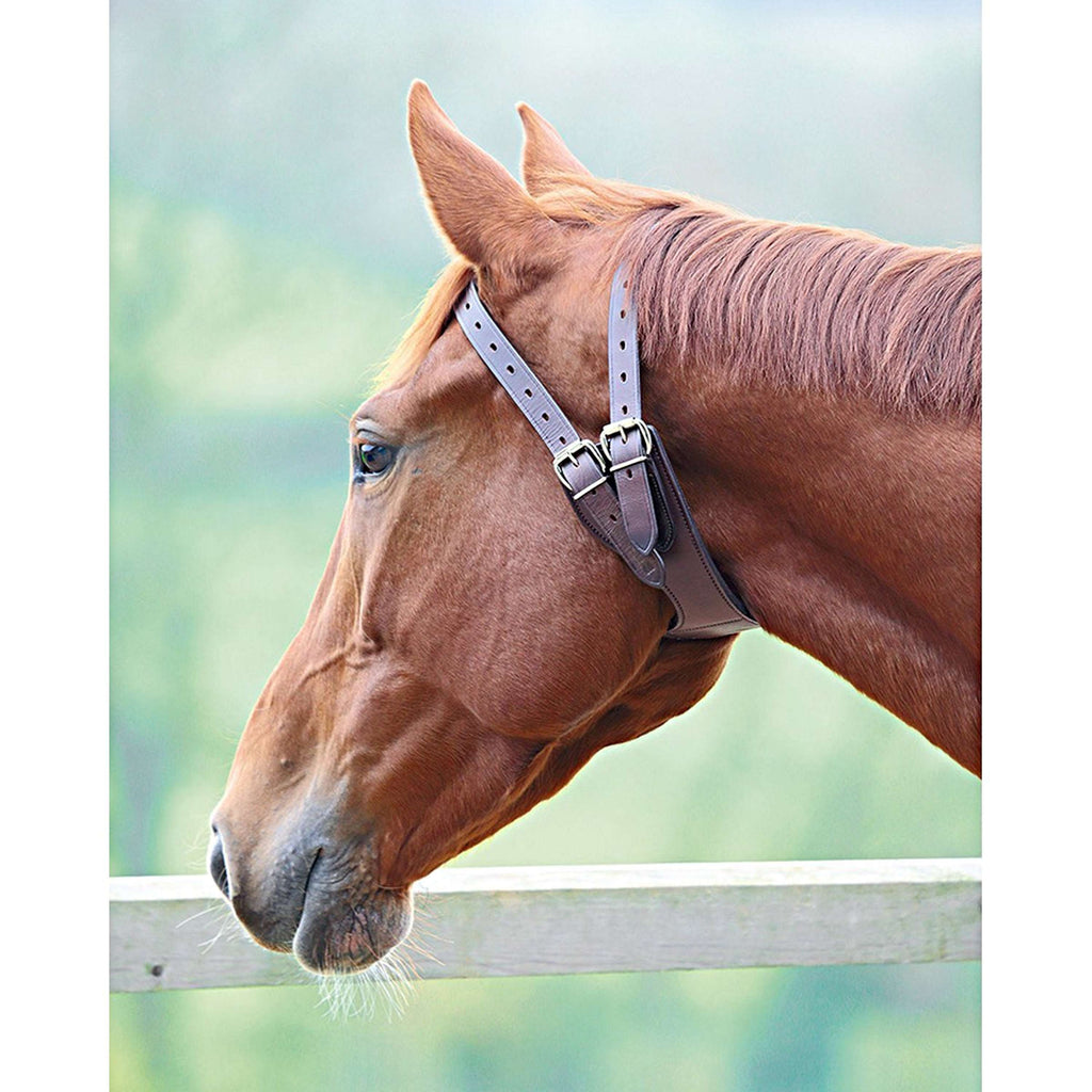 Shires Halsband Anti-Morso Australian Nut