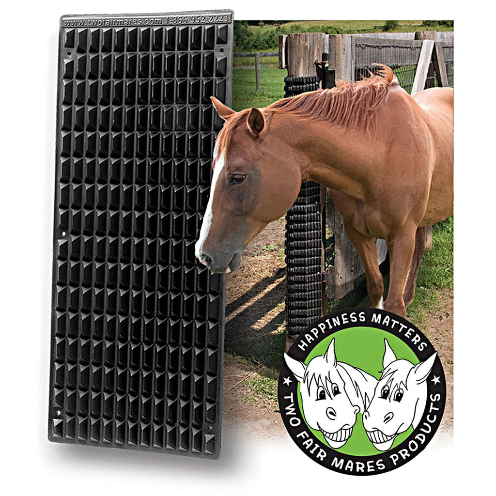 Shires Raschietto Equine Nero
