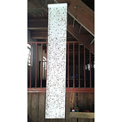 Nastro per mosche insettivore