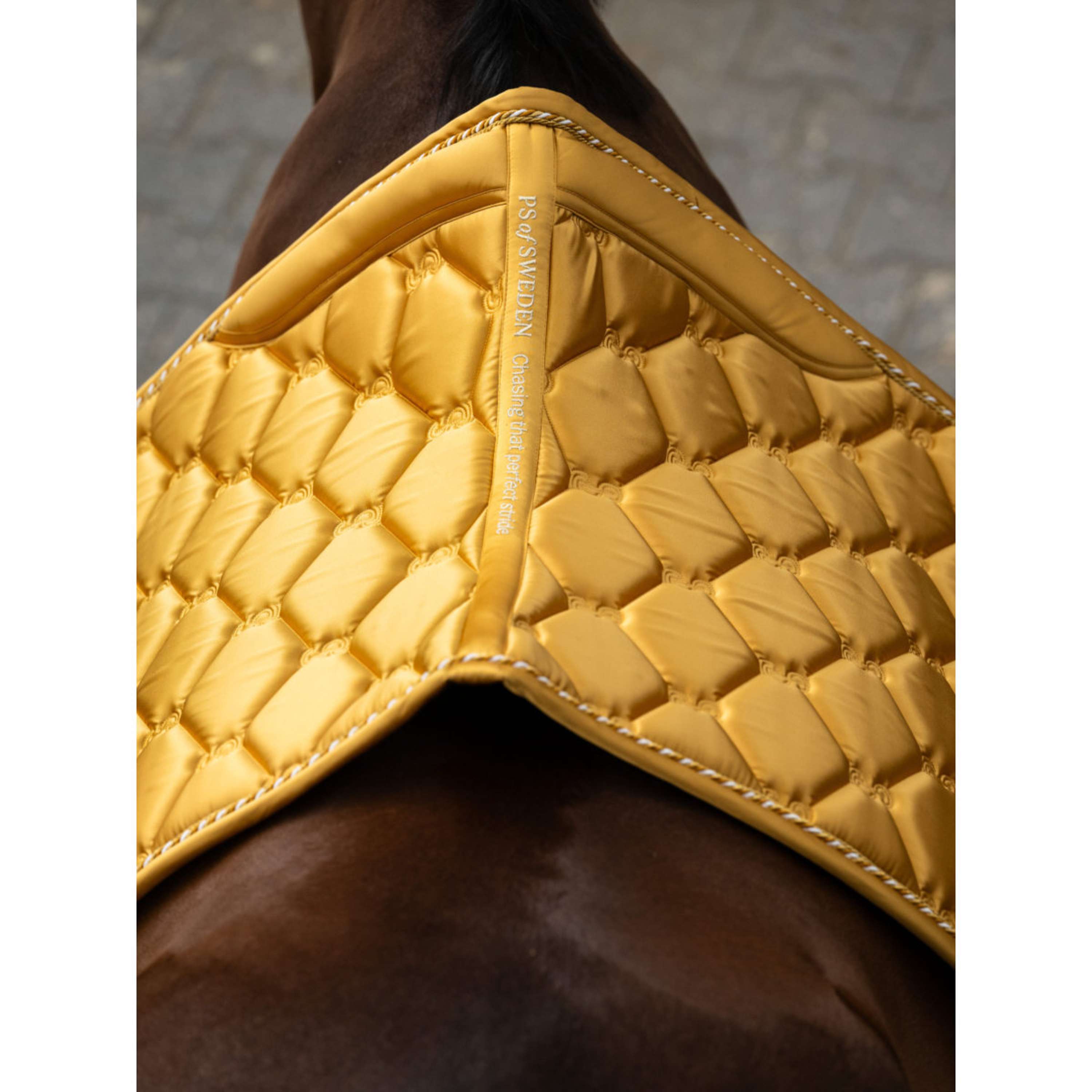 PS of Sweden Sottosella Signature Dressage Old Gold