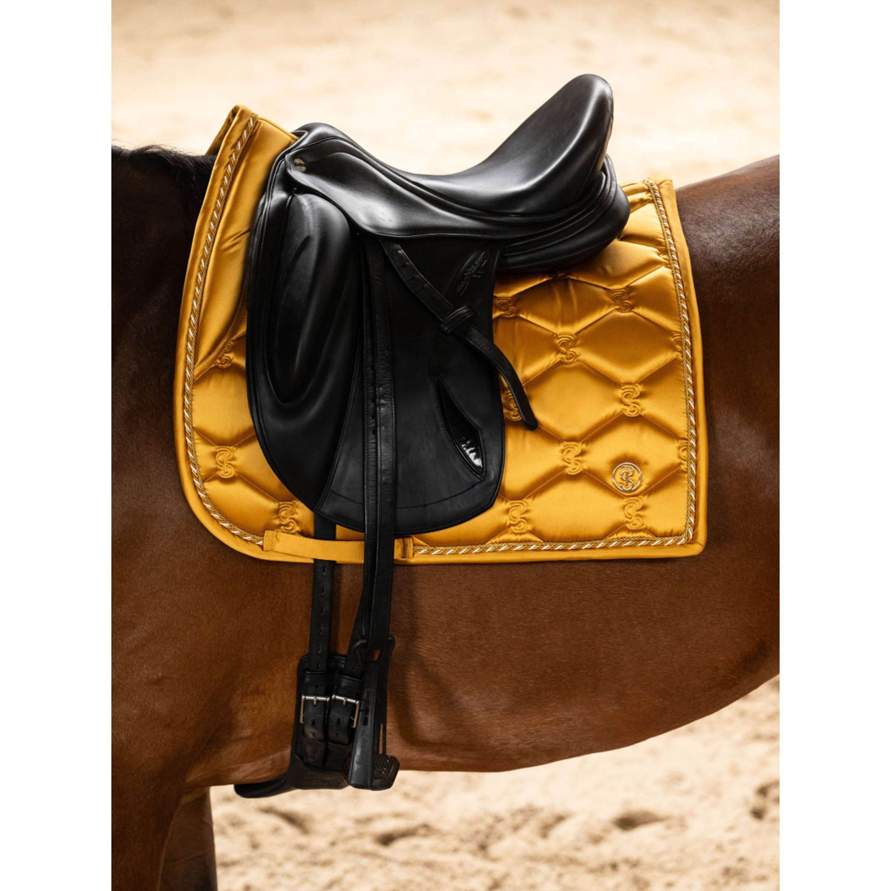 PS of Sweden Sottosella Signature Dressage Old Gold