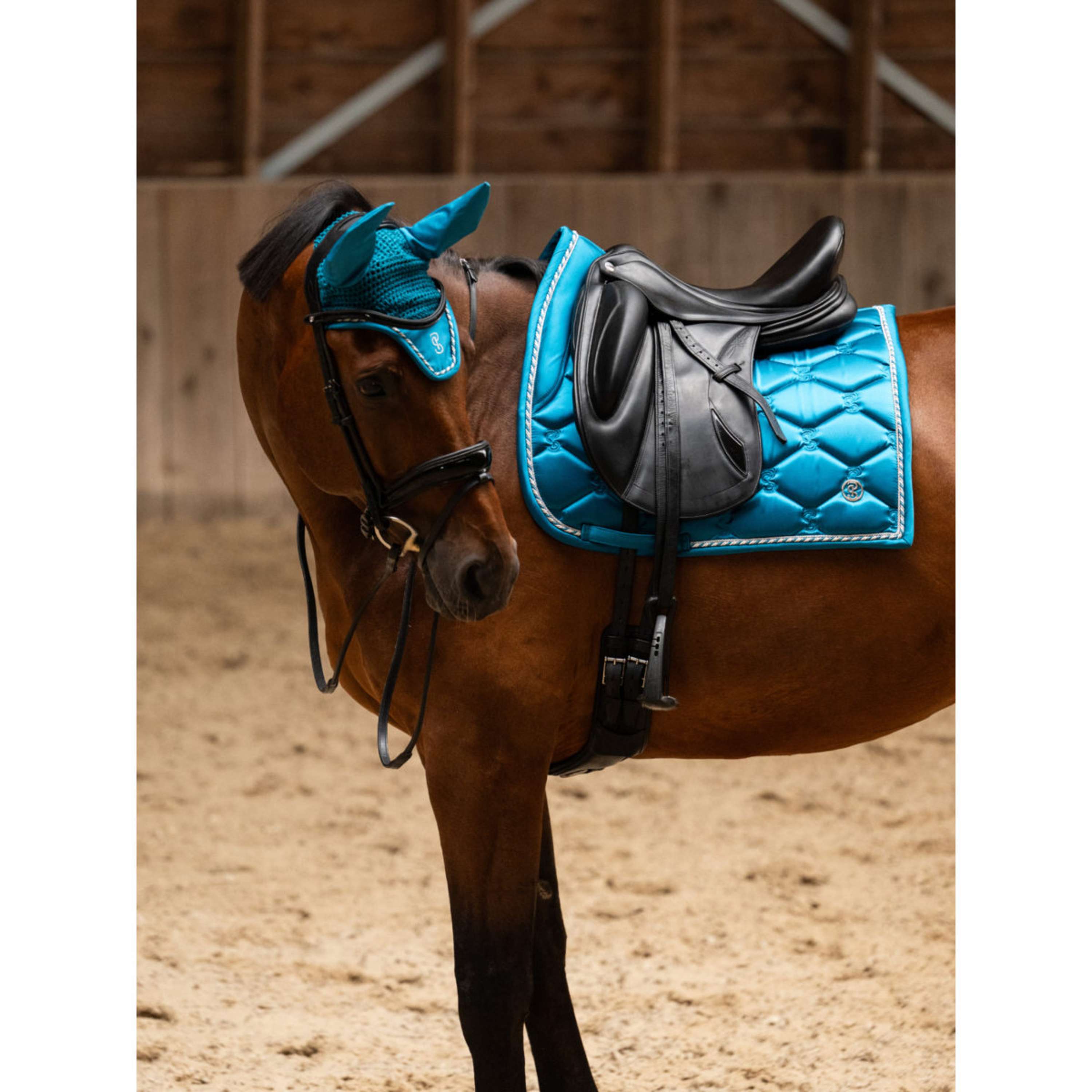 PS of Sweden Sottosella Signature Dressage Evening Teal